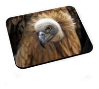 Tapis de souris Gros plan sur un vautour fauve (griffon) vie sauvage oiseau G