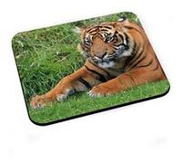 Tapis de souris Gros plan tigre etendu dans l'herbe vie sauvage G