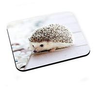 Tapis de Souris Herisson Blanc Mignon Animaux de Jardin Nature Sauvage