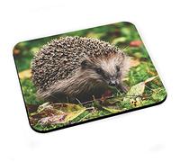 Tapis de Souris Herisson Mignon Animaux de Jardin Foret Nature Sauvage