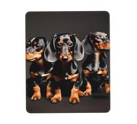 Tapis de souris imprimé trois teckels, tapis de souris pour ordinateur portable, 25,4 x 30,5 cm, bureau 20 x 24,1 cm