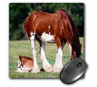 Tapis De Souris Jument Clydesdale Bords Surpiqués Mouse Pad Portable Tapis De Souris Gaming pour Maison Gamer Clavier 25X30Cm