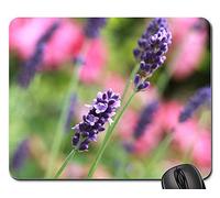 Tapis De Souris, Lavande Fleurs De Lavande Fleur Nature Flore Tapis De Souris Gamer Antidérapante Tapis De Souris D'Ordinateur Résistant À Usure Souris De Bureau pour Ordinateur Pc 25X30Cm