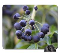 Tapis De Souris, Lierre Fruit Bleu Violet Baies Toxique Smart Brindille Gamer Mouse Pad Antidérapante Tapis Souris Durable Souris De Bureau pour Jeux Ordinateur Souris 25X30Cm