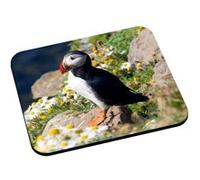 Tapis de souris Macareux fraterculini oiseaux marins G