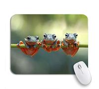 Tapis De Souris Macro Verte De La Grenouille Arboricole Java Volant sur Une Branche Colorée Tapis De Souris D'Ordinateur Personnalisé Tapis De Souris Antidérapant, pour Ordinateur, 25 x 30cm