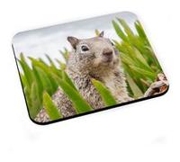 Tapis de souris Marmotte dans l'herbe animal sauvage mignon photo nature G