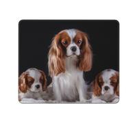 Tapis de Souris, mère Cavalier King Charles Spaniel avec oursons, Tapis de Souris à Base de Caoutchouc antidérapant, Tapis de Souris étanche 12 × 10 Pouces pour Bureau