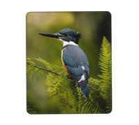 Tapis de souris mignon imprimé oiseau, tapis de souris de jeu, tapis de souris d'ordinateur pour ordinateur portable, souris, 10 x 12 pouces bureau 26,9 x 22,5 cm