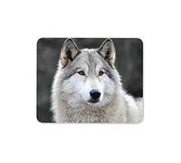 Tapis de souris motif loup husky dans la forêt - Gris Wild Dog His Hers Gift #16947