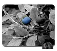 Tapis De Souris, Myrtille Borovin Blue Tree Myrtilles Baie Gamer Mouse Pad Antidérapante Tapis Souris Durable Souris De Bureau pour Pc Souris Professionnels 25X30Cm