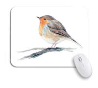 Tapis De Souris Oiseau Coloré Oiseau Rouge-Gorge Branche Animal Européen Aquarelle Tapis De Souris D'Ordinateur Moderne Bureau Tapis Souris, pour Jeux, Maison, 25 x 30cm