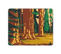 Tapis De Souris Parc National Tierra Del Fuego Californie du Sud Accessoire Bureau avec Bords Surpiqués Tapis De Bureau Étanche Tapis De Souris Gaming pour Pc Ordinateur Souris 25X30Cm