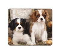 Tapis de Souris, Petits Chiots Cavalier King Charles Spaniel, Tapis de Souris à Base de Caoutchouc antidérapant, Tapis de Souris étanche 12 × 10 Pouces pour Le Bureau