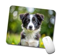 Tapis De Souris Photo d'un Chiot Border Collie Moderne Tapis De Souris De Jeu Portable Mouse Pad pour Pc Ordinateur Travail 10X12In
