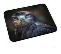 Tapis de souris Portrait belle aigle brun oiseau de proie animal sauvage G