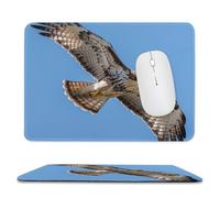Tapis de souris pour ordinateur avec base en caoutchouc antidérapant Motif aigle en vol Lavable Tapis de souris portable pour ordinateur portable, bureau, maison, 20,1 x 23,9 cm