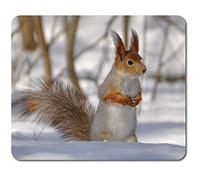 Tapis de souris rectangulaire - Animaux de la forêt d'hiver - Écureuil nature sauvage - 23,5 x 19,6 cm (9,3 x 7,7 pouces) - Pour ordinateur et ordinateur portable, bureau, base antidérapante - #46451