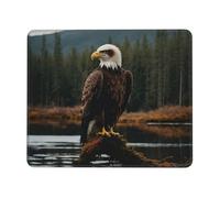 Tapis de souris rectangulaire imprimé aigle volant pour ordinateur, tapis de souris antidérapant 25,4 x 30,5 cm, 20,9 x 24,1 cm