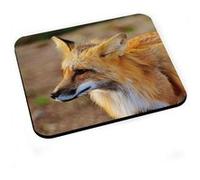 Tapis de souris Renard roux vie sauvage beauté animale G