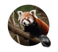 Tapis de souris rond panda rouge sur branche d'arbre - Tapis de souris mignon et amusant pour ordinateur - Lavable - Protection de bureau avec base en caoutchouc antidérapant pour bureau à domicile