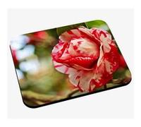 Tapis de souris Rose rouge et blanche fleur rosier G