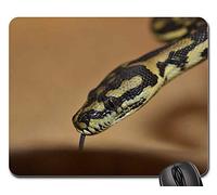 Tapis De Souris, Serpent Tête De Serpent Jaune Reptile Animal Fermer Tête Tapis Souris Antidérapante Mouse Pad Doux Tapis De Bureau pour Jeux Ordinateur Pc 25X30Cm