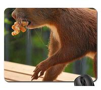 Tapis De Souris, s'il Vous Plaît, Faites Un Don De Café Paypal Mouse Pad Antidérapante Tapis De Souris De Jeu Bords Cousus Tapis De Gaming pour Ordinateur Pc Professionnels 25X30Cm