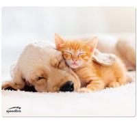 Tapis de souris SpeedLink SILK multicolore