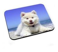 Tapis de souris Spitz petit chien blanc de race chiot bebe mignon plage Blanc G