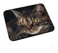 Tapis de souris Sublime chat tigre grands yeux jaunes mignon G