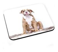 Tapis de souris Superbe bulldog chiot blanc et marron bebe chien mignon Blanc G