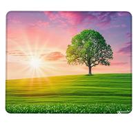 Tapis de Souris, Tapis Souris pour Bureau, Dimensions 290 x 240 x 3 mm, Base en Caoutchouc Antidérapante, Lavable, Bords Tissés Durables pour Accessoire Laser, Gaming, Cadeau, Plantation Verte c0j-43