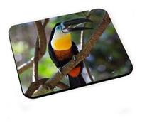 Tapis de souris Toucan dans la foret vie sauvage oiseau G
