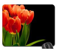 Tapis De Souris, Tulipes Bouquet De Tulipes Bouquet De Fleurs Rouge Rougeâtre Tapis Souris Antidérapante Gamer Mouse Pad Bords Cousus Tapis De Gaming pour Professionnels Ordinateur Pc 25X30Cm