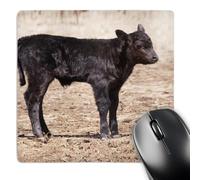 Tapis De Souris, Vache Black Angus Debout dans Un Pâturage Doux Mousepad Bords Cousus Tapis De Souris De Jeu pour Bureau Pc Ordinateur 25X30cm