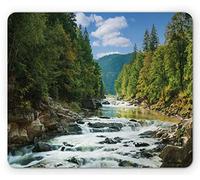 Tapis De Souris Vue Panoramique Naturelle De La Rivière De Montagne avec Une Cascade Parmi La Verdure Verdoyante Tapis De Souris Antidérapant Doux Tapis De Souris D'Pour Maison, Jeux, 25x30cm