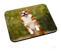 Tapis de souris Welsh corgi petit chien mignon poils longs mignon G