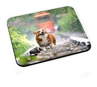 Tapis de souris Welsh corgi petit chien mignon poils longs mignon rail G