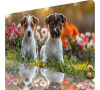 Tapis de Souris XXL 800x400x3mm, Gaming Tapis de Souris Blanc, Extended sous Main Bureau avec Base en Caoutchouc Antidérapante, Gaming Mouse Pad pour Gamer, Ordinateur, PC, Cadeau Homme, Chien 7-5693