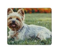 Tapis de souris Yorkshire Terrier imprimé carré base en caoutchouc imperméable antidérapant tapis de souris pour ordinateur portable de bureau 21 x 26,2 cm