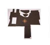 Tapis de voiture compatible avec Mercedes Actros Mp4 Mp5 MP6 SoloStar Concept (matériau noir, fil d'or)