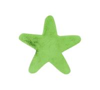 Tapis Déco Enfant "Lovely Star" 60x63cm Vert