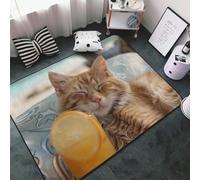Tapis décoratif pour salon - Tapis antidérapant lavable pour chambre à coucher - Tapis d'intérieur doux pour chambre à coucher et salon - 152,4 x 99,1 cm - Motif chat relaxant avec jus d'orange