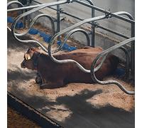 Tapis d'écurie en caoutchouc pour stalles de vaches, cochons et chevaux, Revêtement de sol, Dalle d'écurie, Tapis antidérapant pour animaux, Revêtement amortissant pour bétail KARAT (200 x 100 cm)