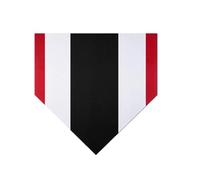 Tapis d'entraînement de Baseball - Tampon de Frappe pour Softball - en Silicone antidérapante - Batterie sûre pour Les compétences d'amélioration des compétences - Famille Adolescente et Fille