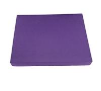 Tapis D'entraînement D'équilibre En Tpe, Imperméable, Antidérapant, Haute Résilience, Pour Exercices De Musculation Des Genoux Et Des Chevilles, Violet
