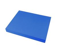 Tapis d'entraînement d'équilibre, tapis d'équilibre, tapis d'équilibre, plaque en mousse Pilate à genoux antidérapant pour adultes, coussin d'équilibre épais pour entraînement physique