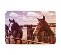 Tapis d'entrée 40 x 60 cm - Motif chevaux bruns - Tapis de bain absorbant - Décoration amusante pour intérieur - Porte avant et arrière