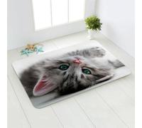 Tapis d'entrée Chat Gris Vert Paillasson Extérieur Polyester Tapis Exterieur Salon Couloir Lavable en Machine Rug Entree Interieur pour Chambre Antidérapant Tapis de Passage 120x160cm